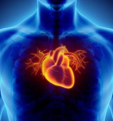 Premier Cardiovascular Consultants in Cleveland & Kingwood TX