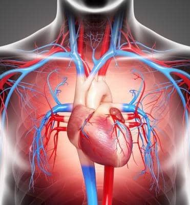 Premier Cardiovascular Consultants in Cleveland & Kingwood TX